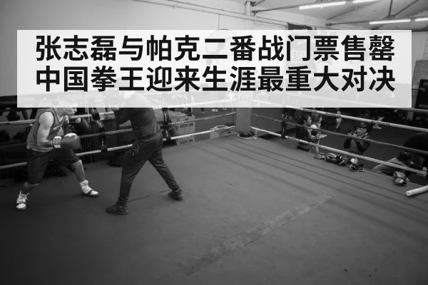 boxer training gym